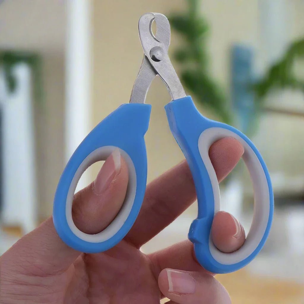 Coupe - Ongles - PetCatNailScissor™ - Bleu Blanc - Griffes & Solutions
