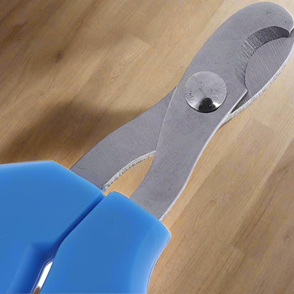 Coupe - Ongles - PetCatNailScissor™ - Bleu Blanc - Griffes & Solutions