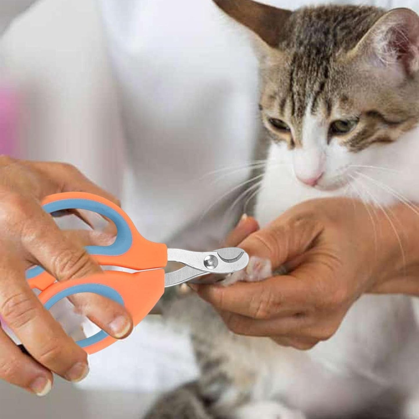 Coupe - Ongles - PetCatNailScissor™ - Orange Bleu - Griffes & Solutions