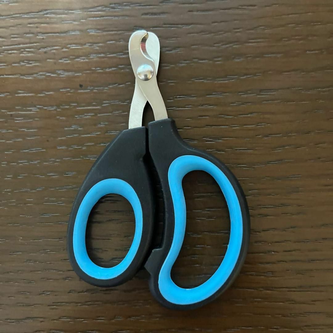 Coupe - Ongles - PetCatNailScissor™ - Bleu Noir - Griffes & Solutions